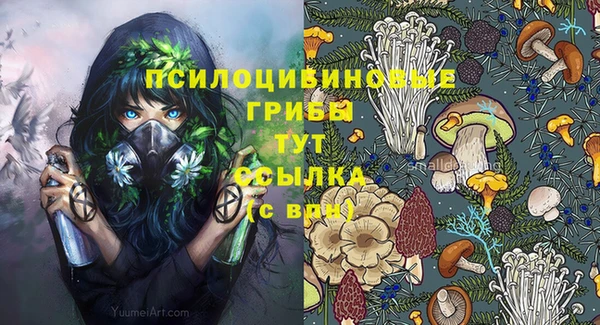 эйфоретик Кулебаки