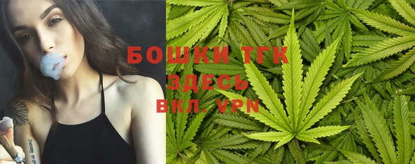 эйфоретик Кулебаки