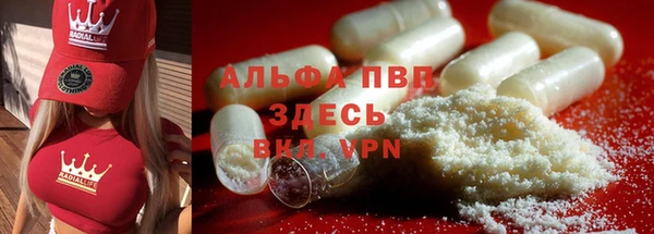 PSILOCYBIN Кукмор