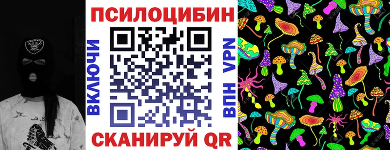 Галлюциногенные грибы Cubensis где продают наркотики kraken сайт Нерчинск